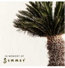 Summer Experience Music Set, Chill Out Lounge Cafe Essentials, Chill Zone - In Memory of Summer: Best Vacation Chillout 2020