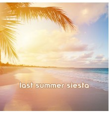 Summer Time Chillout Music Ensemble - Last Summer Siesta – Dose of Tropical Relaxing Tunes