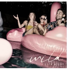Summer Time Chillout Music Ensemble - Wild Fiesta Night - Chillout Party Music Set on the Occasion of the Halfway Point of the Summer Holidays