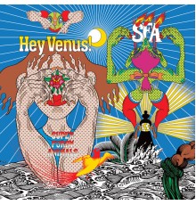 Super Furry Animals - Hey Venus!