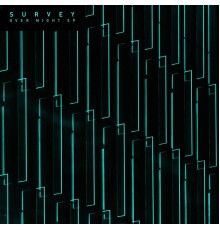 Survey - Over Night EP