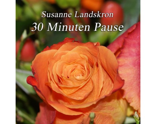 Susanne Landskron - 30 Minuten Pause