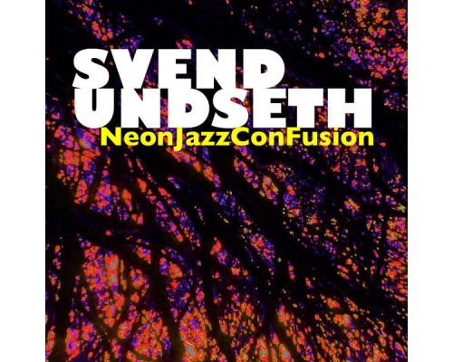 Svend Undseth - Neon Jazz Confusion