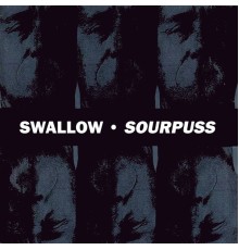 Swallow - Sourpuss