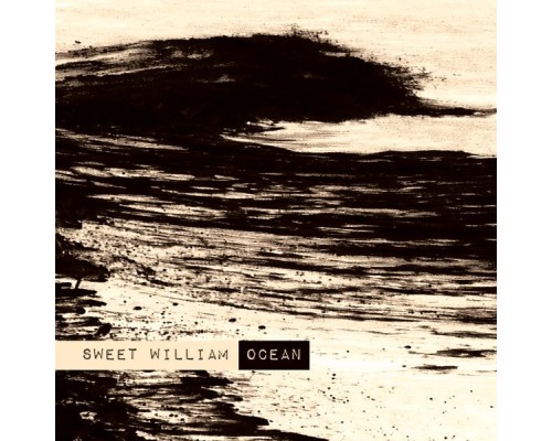 Sweet William - Ocean