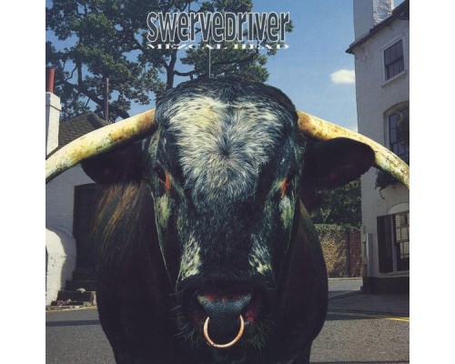 Swervedriver - Mezcal Head