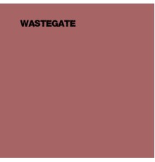 SwitchOn - Wastegate