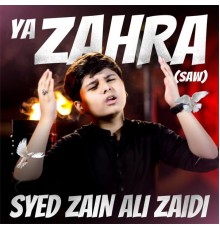Syed Zain Ali Zaidi - Ya Zahra SAW