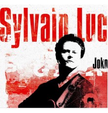 Sylvain Luc - Joko