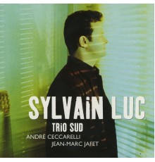 Sylvain Luc - Trio sud