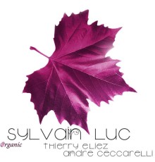 Sylvain Luc - Organic