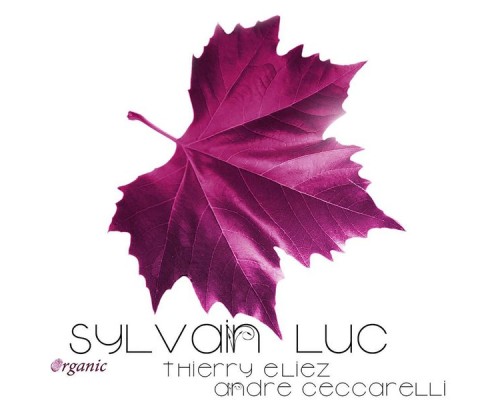 Sylvain Luc - Organic