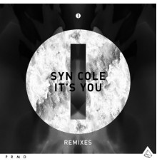 Syn Cole - It's You  (Remixes)