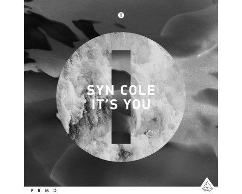 Syn Cole - It's You