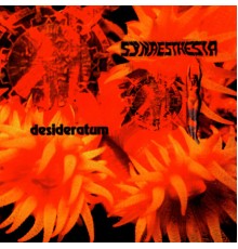 Synaesthesia - Desideratum