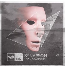 Synapson - Woh Lab 30 Gangbangers