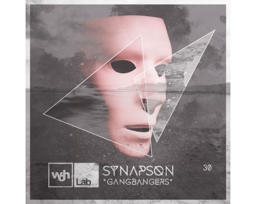 Synapson - Woh Lab 30 Gangbangers