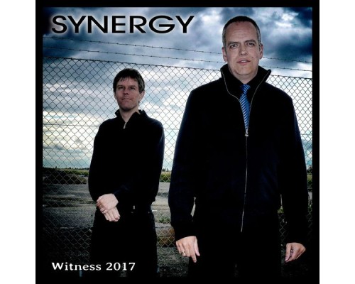 Synergy - Witness 2017