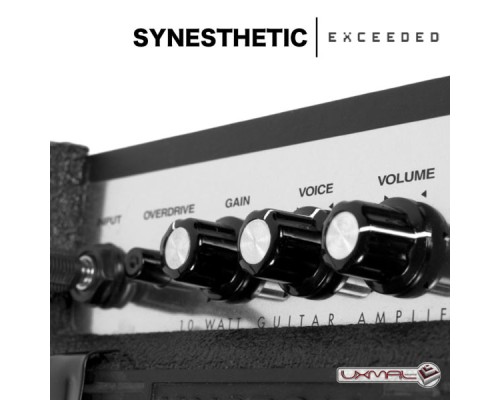 Synesthetic - Exceeded