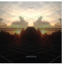 Synkro - Acceptance