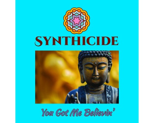 Synthicide - You Got Me Believin'