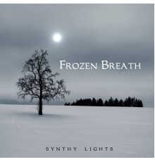 Synthy Lights - Frozen Breath