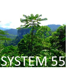 System 55 - System 55