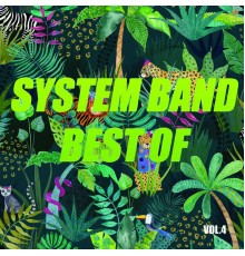 System Band - Best of system band (Vol.4)