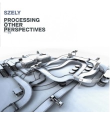 Szely - Processing Other Perspectives