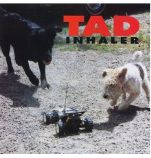 TAD - Inhaler