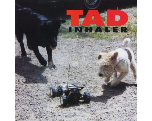 TAD - Inhaler