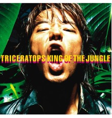 TRICERATOPS - KING OF THE JUNGLE