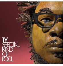 TY - Special Kind of Fool