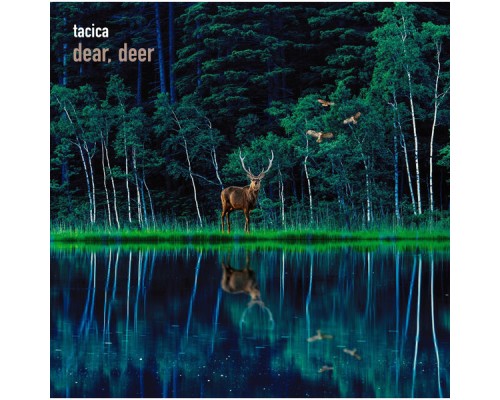 Tacica - BEST ALBUM dear, deer