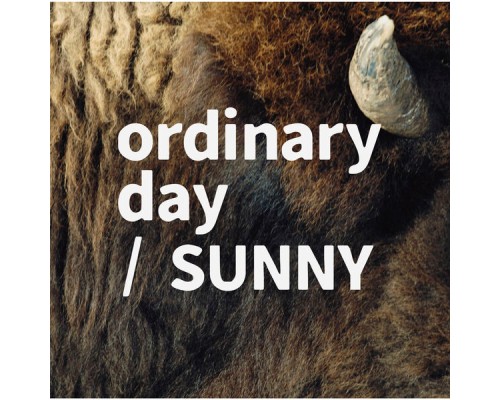 Tacica - ordinary day/SUNNY