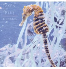 Taken By Trees - Dreams