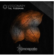 Tal Fussman - Visionary (Original Mix)