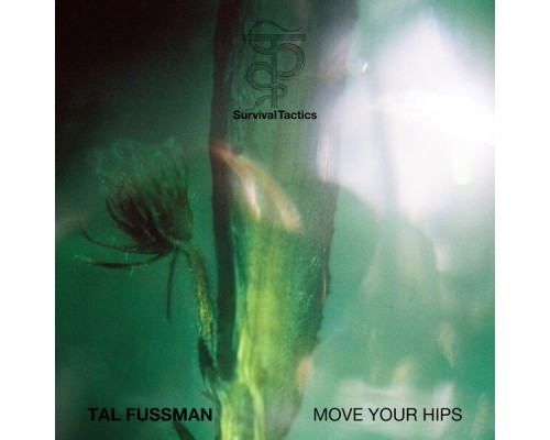 Tal Fussman - Move Your Hips