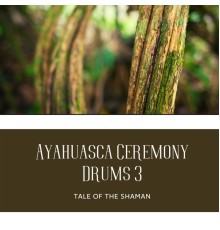Tale of the Shaman, AP - Ayahuasca Ceremony Drums 3
