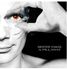 Tamas Mester - A Pillanat