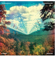 Tame Impala - InnerSpeaker B-Sides & Remixes