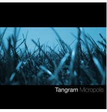 Tangram - Micropolis