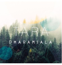 Tara - Dharamsala