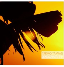 Tarmo Tammel - Amazing EP