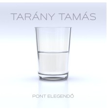 Tarány Tamás - Pont elegendő