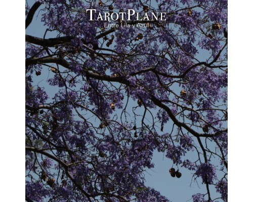 Tarotplane - Entre lila y azul