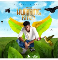 Tatik - Humming Bird