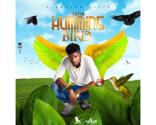 Tatik - Humming Bird