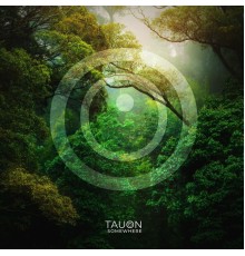 Tauon - Somewhere