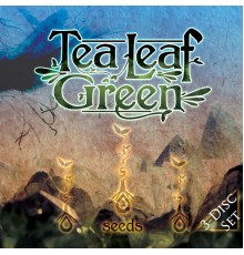 Tea Leaf Green - Seeds